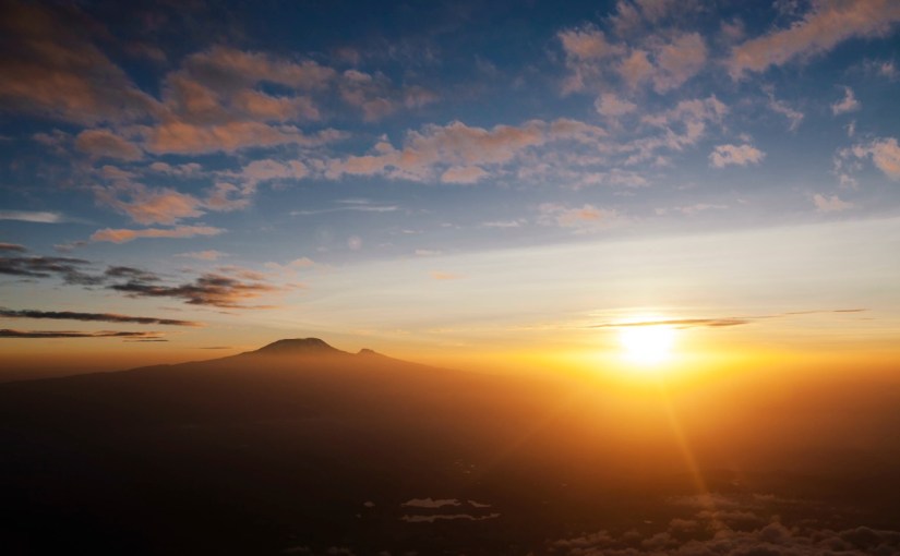 Concussion Brain Food High School Athlete Dietary&nbsp;Survey