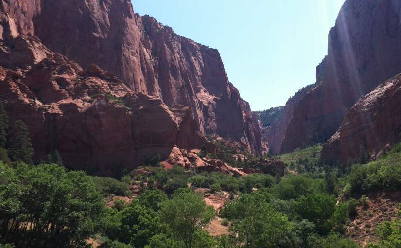 Adrenal Tremor, Parkinson’s Disease and the Wheat Free&nbsp;Diet