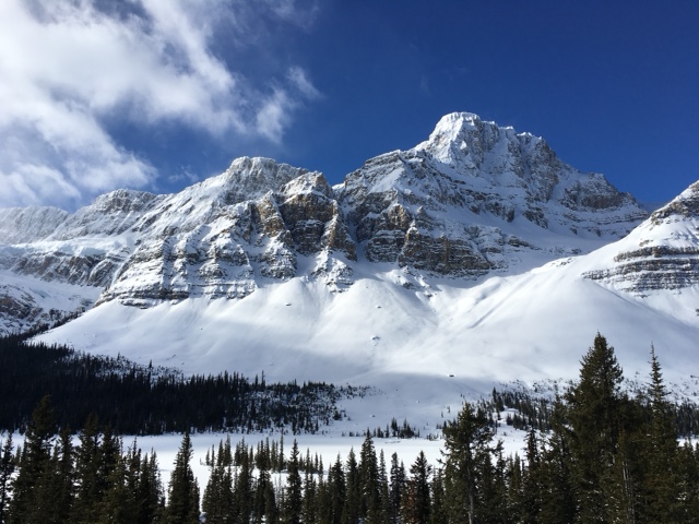 Amino Acid Therapy for TBI and Concussion: A literature&nbsp;review