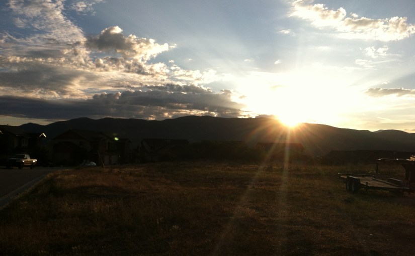 Nutrition Director – Fish&nbsp;Presentation